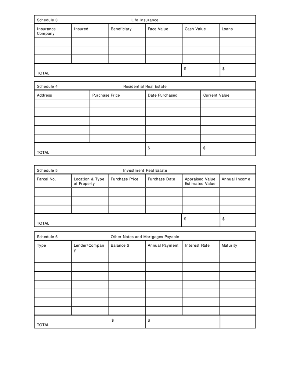 Financial Statement Form - South Carolina, Page 3