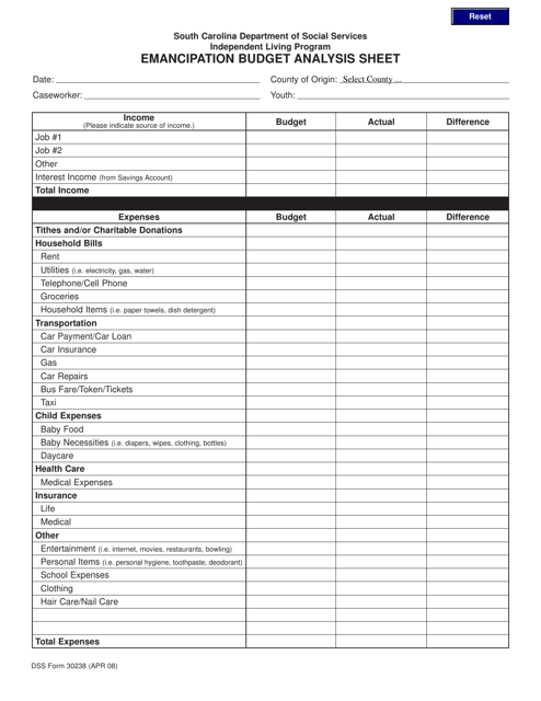 DSS Form 30238 Emancipation Budget Analysis Sheet - South Carolina