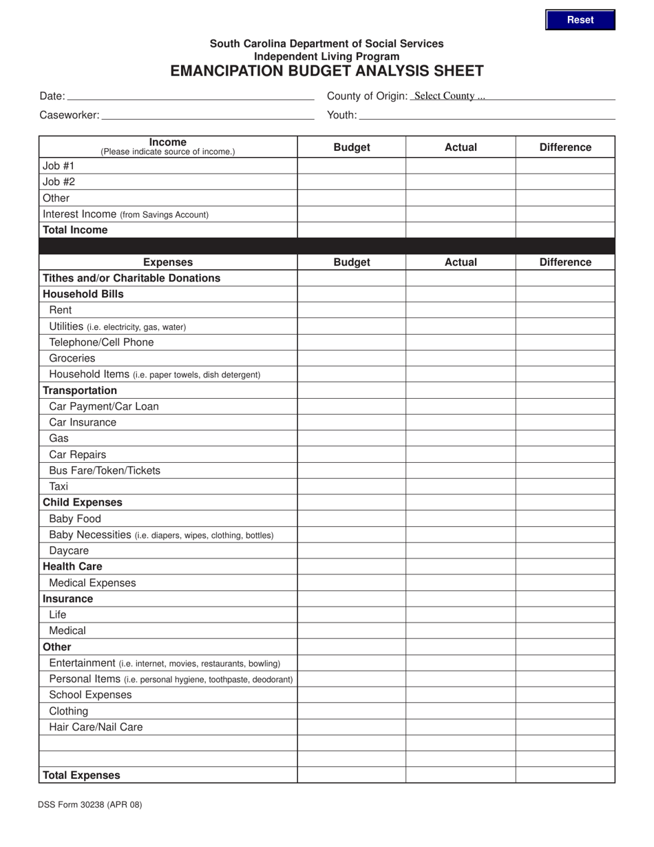 DSS Form 30238 Emancipation Budget Analysis Sheet - South Carolina, Page 1