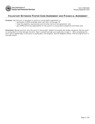 Form K-908-2540 Voluntary Extended Foster Care Agreement and Financial Agreement - Texas