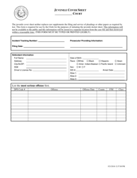 Document preview: Juvenile Court Civil Case Information Sheet - Texas
