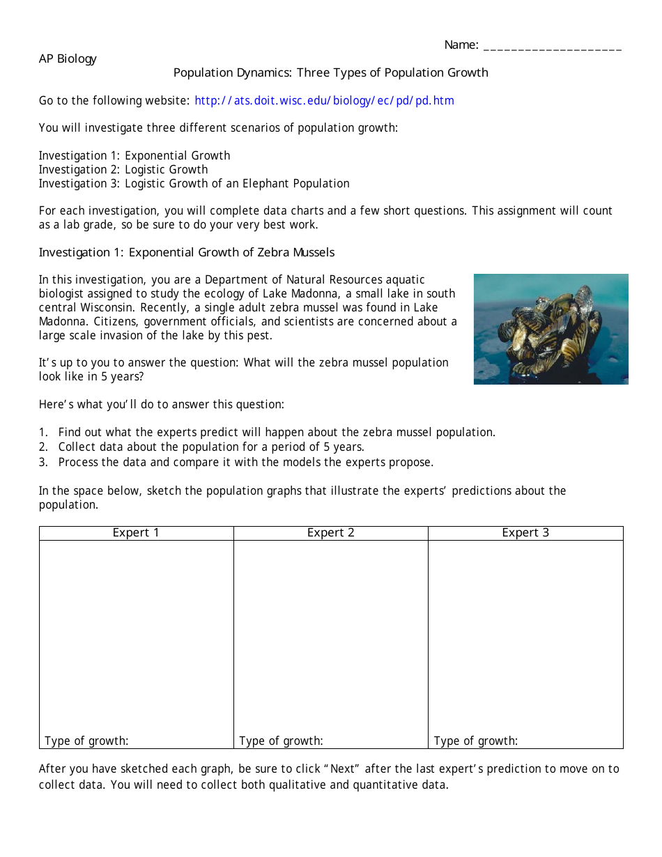 Population Dynamics: Three Types of Population Growth Worksheet Throughout Population Growth Worksheet Answers