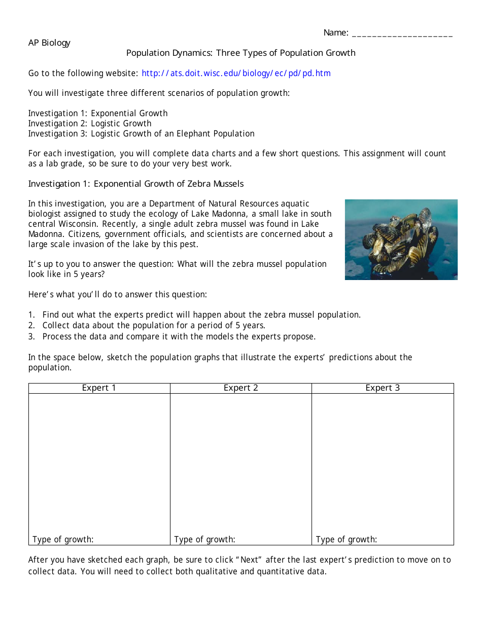 Population Growth Worksheet Answers