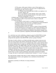 Form 17.10 Letter of Credit for Third-Party Damages From Environmental Pollution Liability With Optional Standby Trust Agreement to Be Used by Transfer, Processor, Re-refiner, or off-Specification Burner Facility - Utah, Page 2