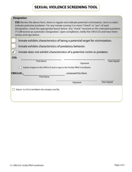 Sexual Violence Screening Tool - Css - Vermont, Page 2
