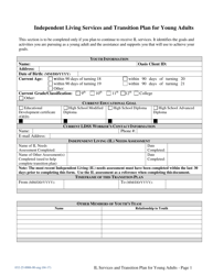 Form 032-25-0006-00 Fostering Futures 90-day Transition Plan - Virginia, Page 11