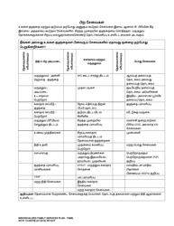 DCYF Form 15-055 Individualized Family Service Plan (Ifsp) - Washington (Tamil), Page 19