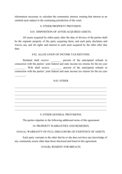 Divorce Agreement Template, Page 13