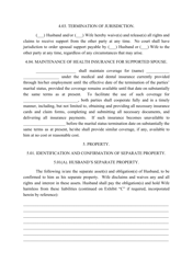 Divorce Agreement Template, Page 7