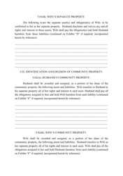 Divorce Agreement Template, Page 8
