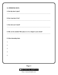 &quot;Animal Research Notes Template - Scholastic&quot;, Page 3