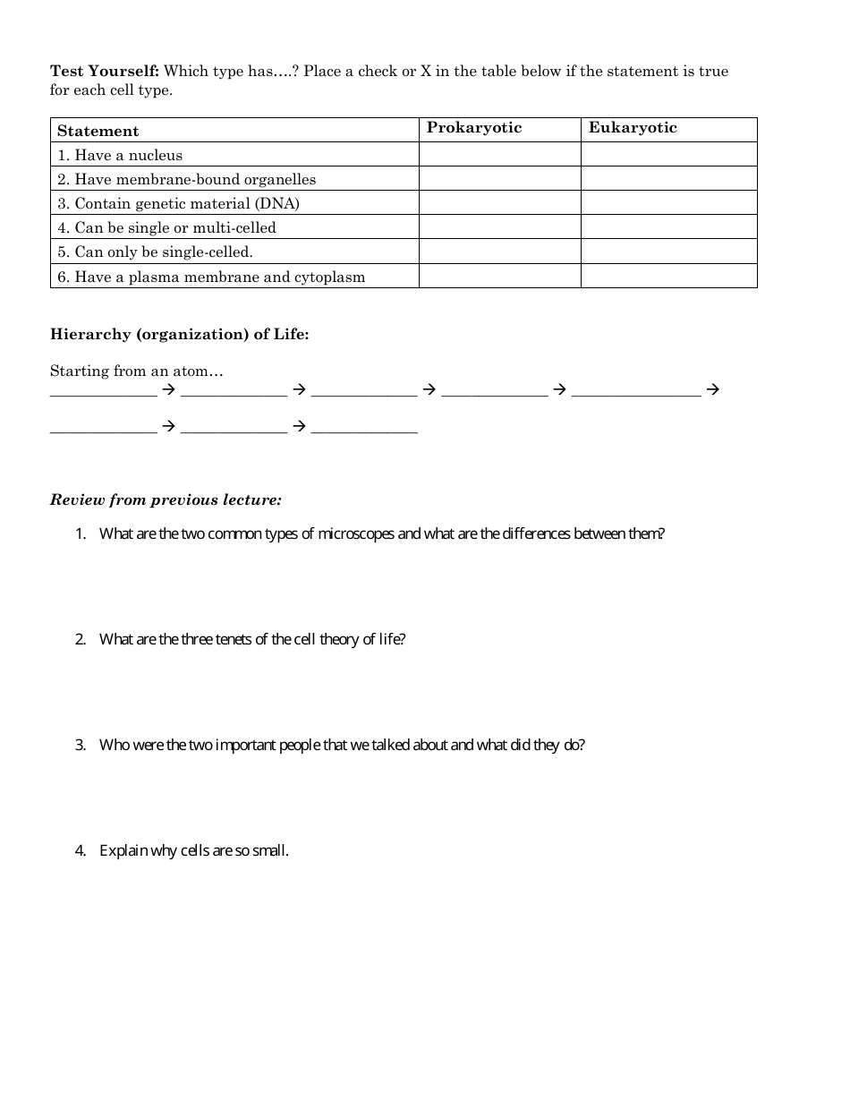 Cell Structure Prokaryotes And Eukaryotes Worksheet Randolph High School Download Printable 5234