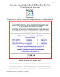 Document preview: DSS Formulario 2974 SPA Modelo De Un Plan De Emergencia Para Programas De Cuidado Infantil - South Carolina (Spanish)