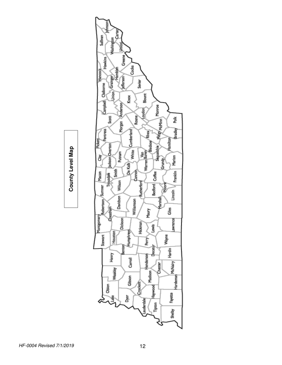 Form HF-0004 Certificate of Need Application - Tennessee, Page 12