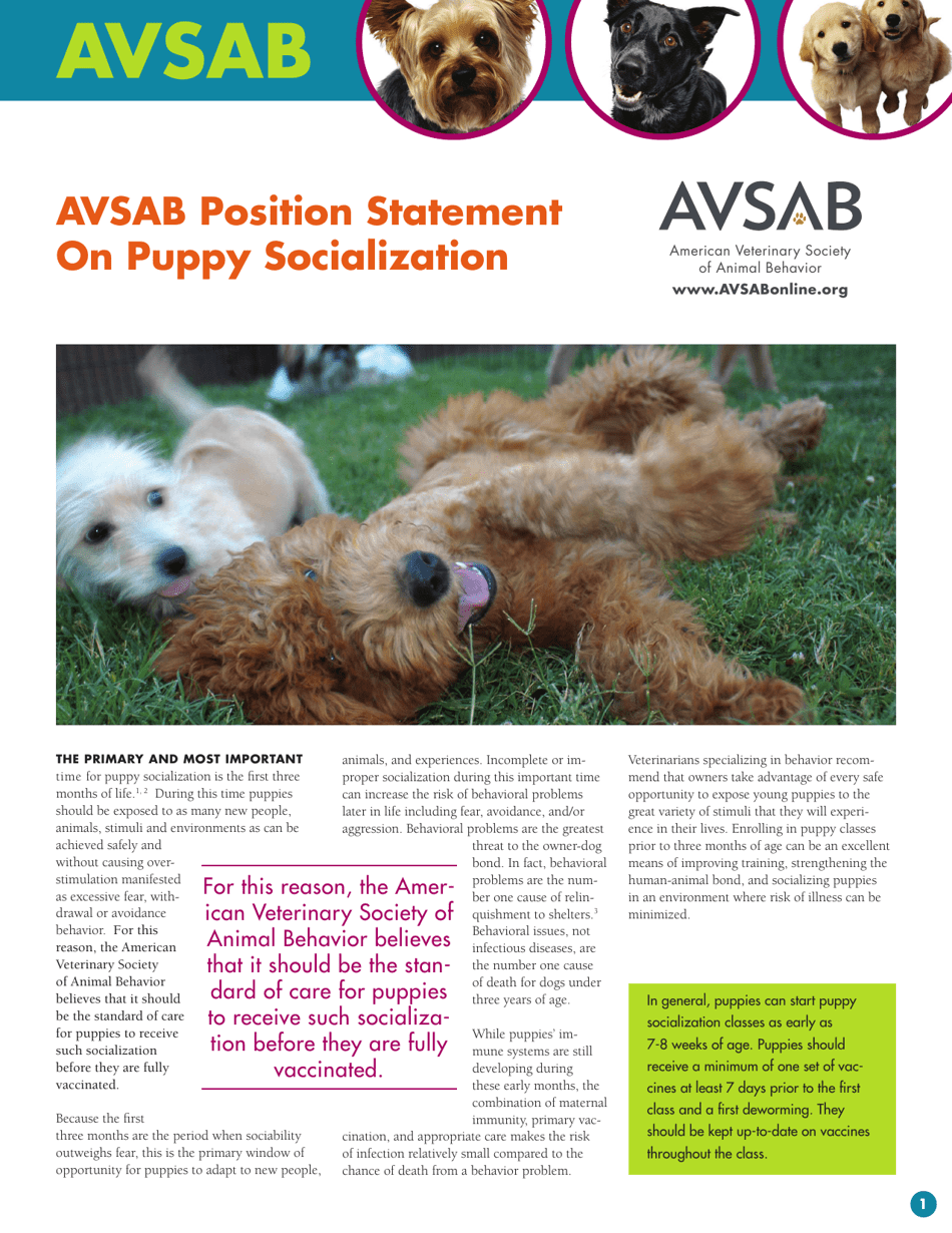 Avsab Position Statement on Puppy Socialization - American Veterinary Society of Animal Behavior, Page 1
