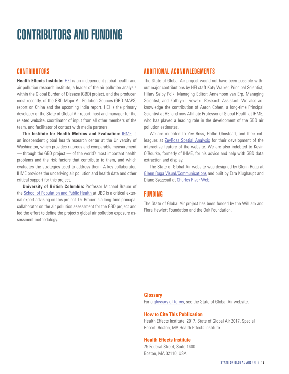 Report - State of Global Air - 2017, Page 17