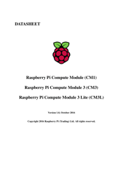 Datasheet Raspberry Pi Compute Module (Cm1), Compute Module 3 (Cm3) and Compute Module 3 Lite (Cm3l)