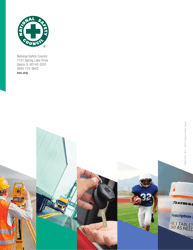 The State of Safety: a State-By-State Report - National Safety Council, Page 25