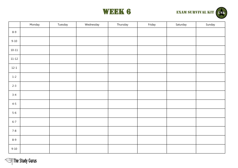 Study Timetable Template - the Study Gurus, Page 8