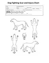 Document preview: Dog Fighting Scar and Injury Chart Template