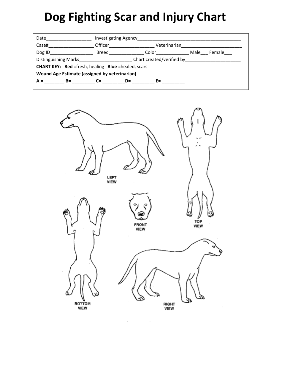 Dog Fighting Scar and Injury Chart Template Download Printable PDF