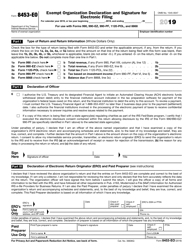 Document preview: IRS Form 8453-E0 Exempt Organization Declaration and Signature for Electronic Filing, 2019