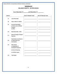 Form PF-4 Annual Report of Insurance Premium Finance Companies - Delaware, Page 3