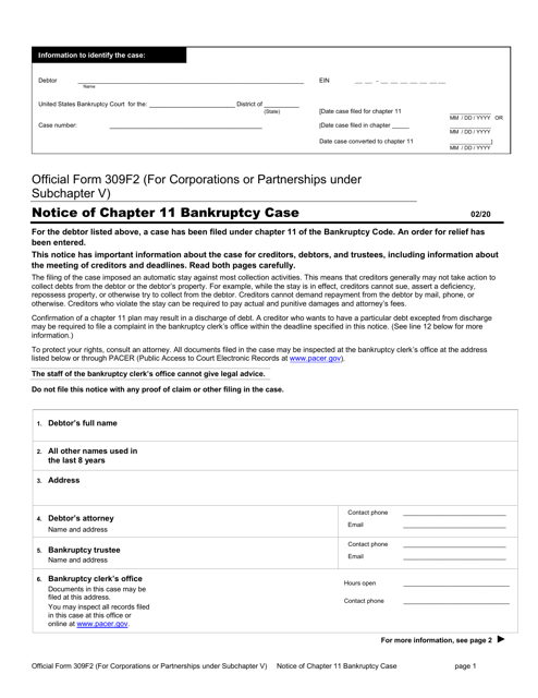 Official Form 309F2  Printable Pdf