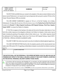 Form 1F-P-1043 Summons - Hawaii, Page 2