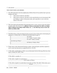 Form 217.1 Indian Child Welfare Act Journal Entry and Order of Disposition - Kansas, Page 2