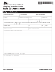 Form DHS-5204-ENG Rule 25 Assessment - Minnesota, Page 2