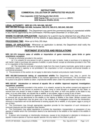 Document preview: Instructions for Form SLAP22.01, SLAP22.02/.84 - Nevada