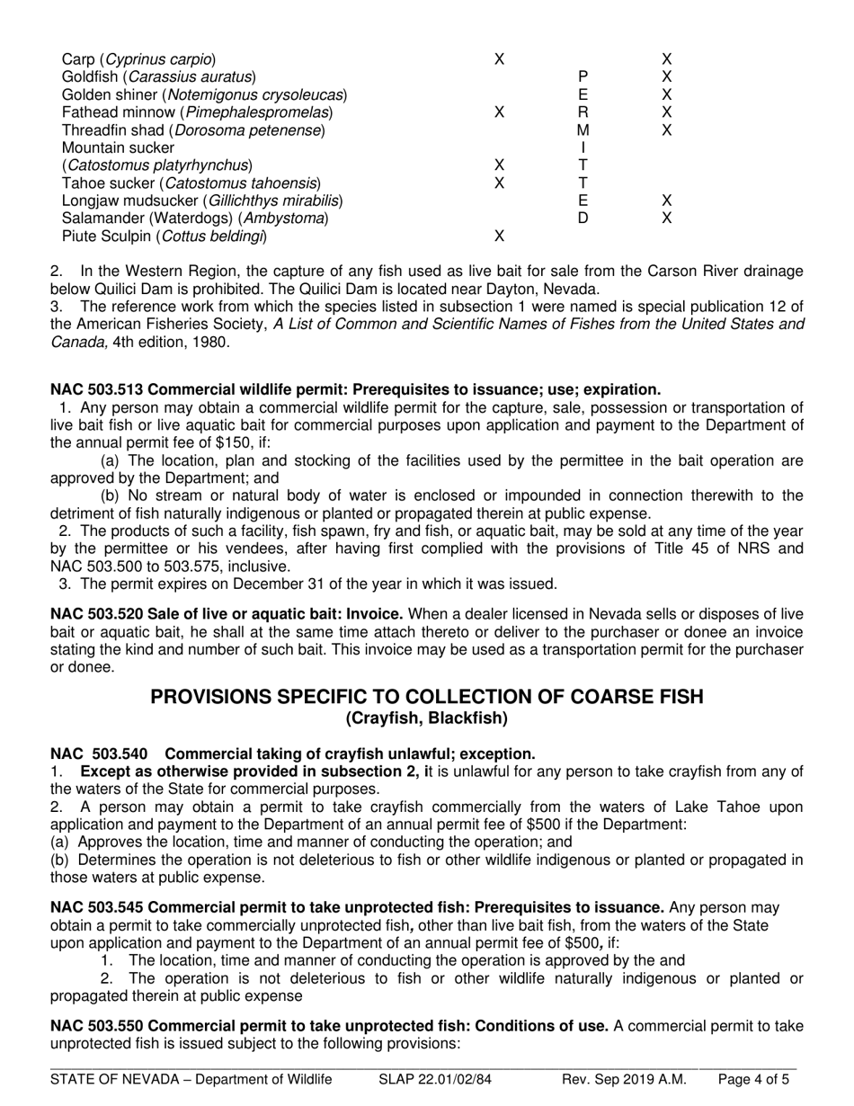 Instructions for Form SLAP22.01, SLAP22.02 / .84 - Nevada, Page 4
