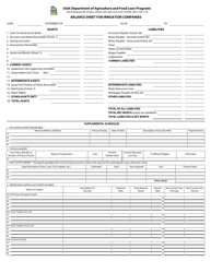 Document preview: Balance Sheet for Irrigation Companies - Utah