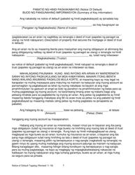 Form 2923.3 C2 Summary of Notice of Default - California (Tagalog)