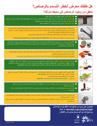 Checklist for Lead Poisoning - California (English/Arabic), Page 2