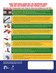 Checklist for Lead Poisoning - California (English/Hmong), Page 2