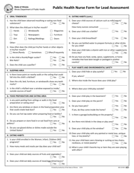 Public Health Nurse Form for Lead Assessment - Illinois, Page 2