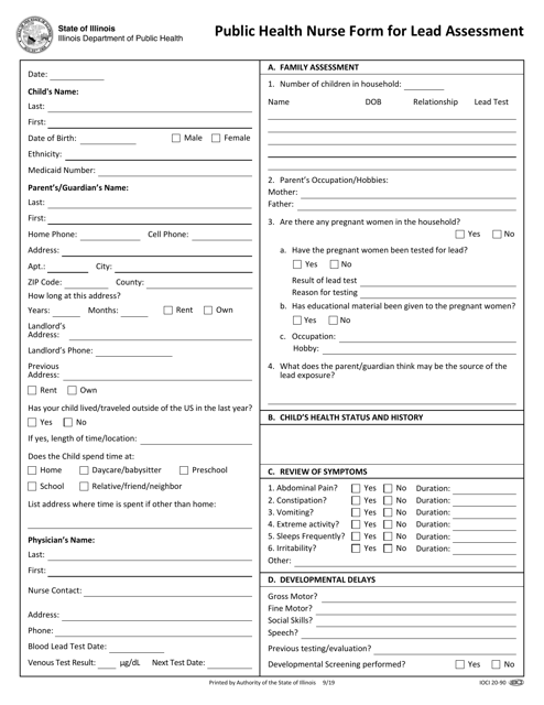 Public Health Nurse Form for Lead Assessment - Illinois Download Pdf