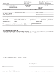 Document preview: Form MC200 Felony Set - Michigan