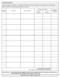 Land Surveyor Form 4 Report of Professional Experience - New York, Page 2