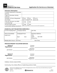 Form CS-0319 Application for Service as a Volunteer - Tennessee, Page 2