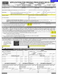 Form 735 173 Download Fillable Pdf Or Fill Online Application For