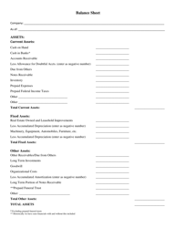 Document preview: Balance Sheet - Texas