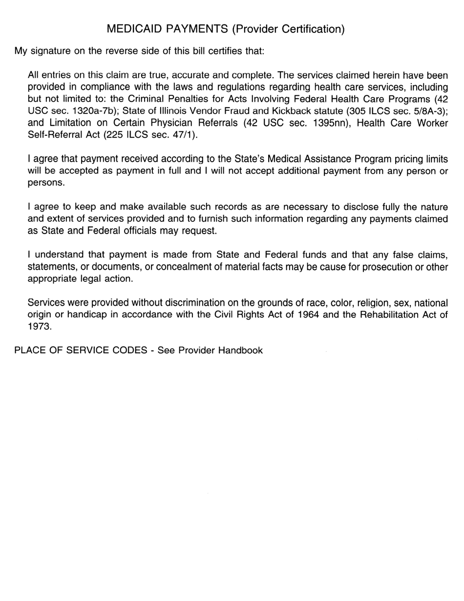 Form HFS1443 Provider Invoice Example Only (Ocr) - Illinois, Page 2