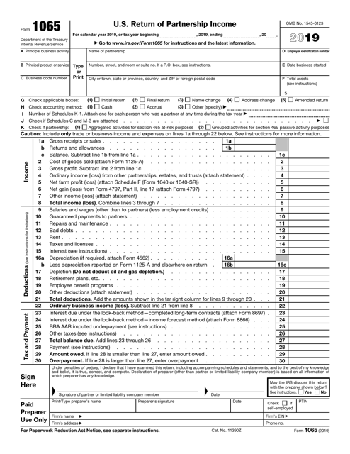 IRS Form 1065 2019 Printable Pdf