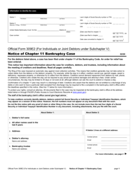Official Form 309E2 Notice of Chapter 11 Bankruptcy Case