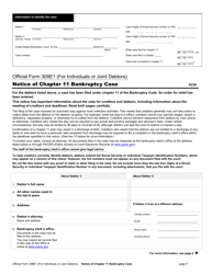 Official Form 309E1 Notice of Chapter 11 Bankruptcy Case