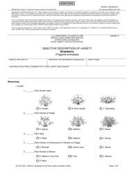 Form ST-470-108 Exhibit C Objective Description of Variety - Strawberry (Fragaria Ananassa)