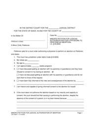 Document preview: Form CAO AbM1-1 Minor's Petition for Judicial Authorization for a Physician to Perform an Abortion - Idaho